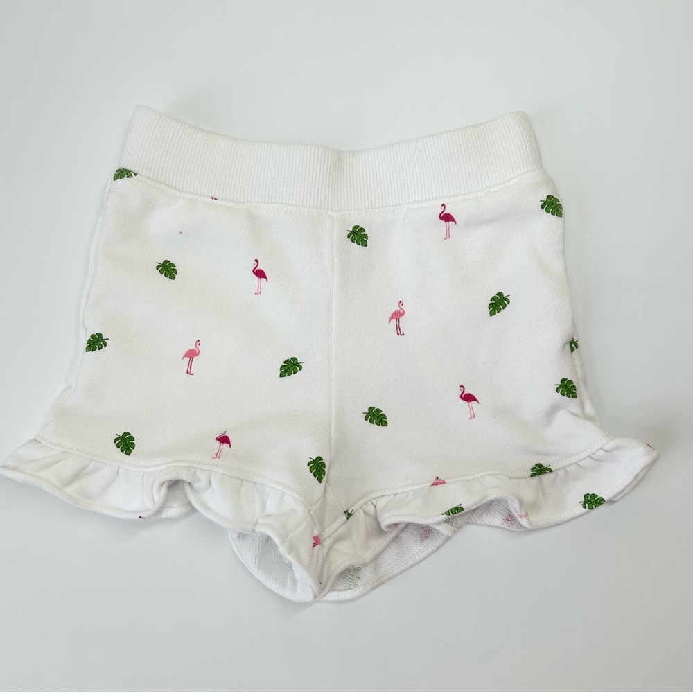 Janie and Jack Toddler Ruffle Flamingo Palm Sweat Shorts